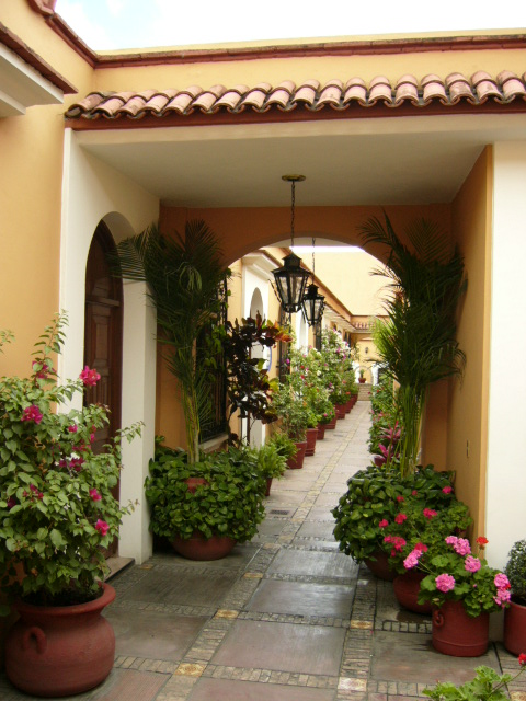 Oaxaca'nin avlulari cok guzel, her evin avlusu var neredeyse...
