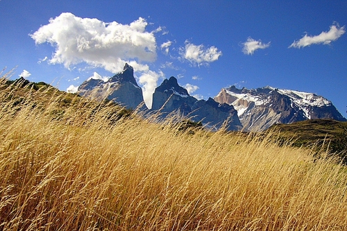 Torres del Paine Milli Parki